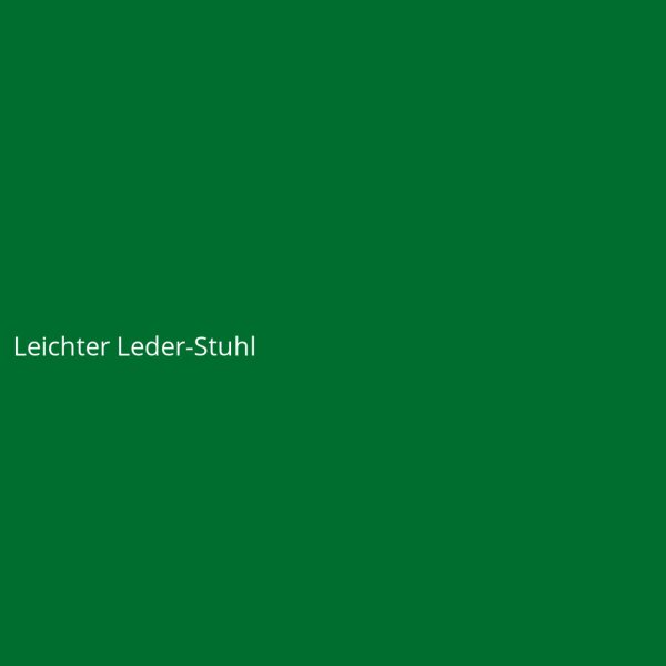 Leichter Leder-Stuhl