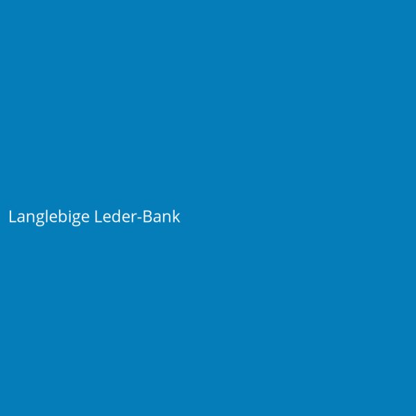 Langlebige Leder-Bank