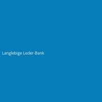 Langlebige Leder-Bank